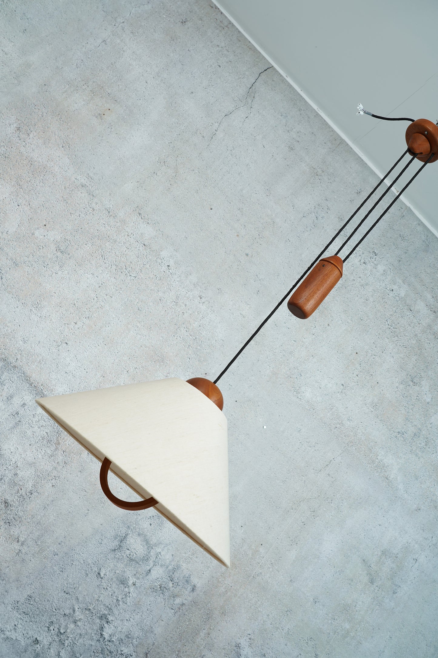 Domus Teak Pendellampe / Deckenlampe, 1960er